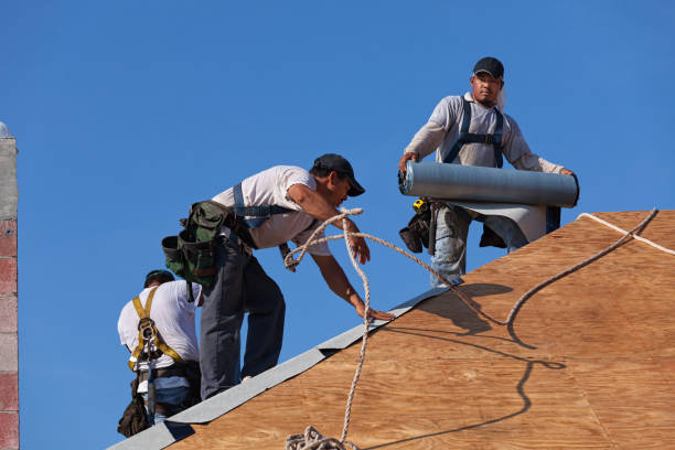 Residential Roof Replacement in Weidman, MI
