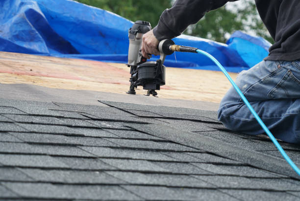 Best Roofing Contractor Near Me  in Weidman, MI