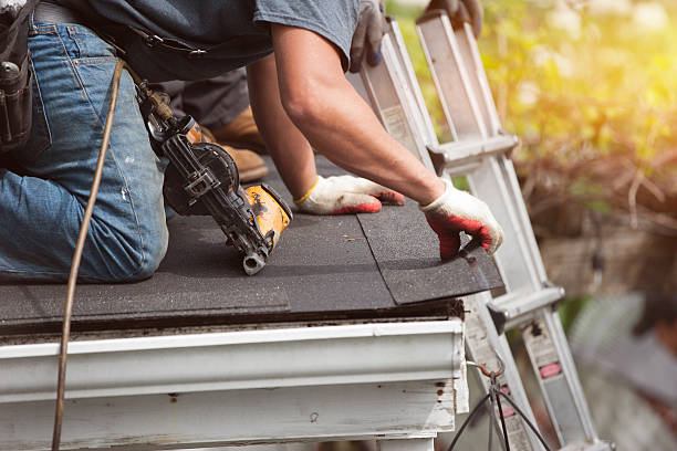 Best Roof Repair Services  in Weidman, MI