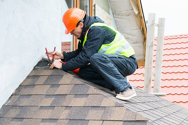 Best Metal Roofing Contractor  in Weidman, MI