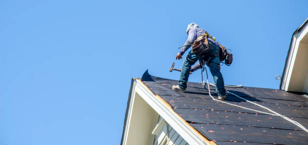 Best Roofing Contractor Near Me  in Weidman, MI