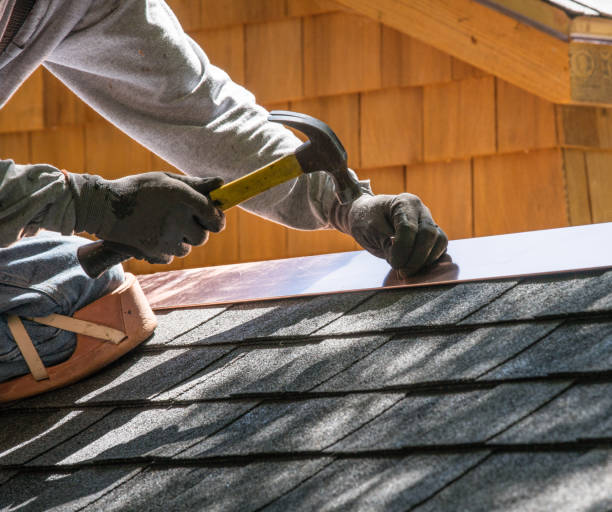 Best Roof Gutter Cleaning  in Weidman, MI